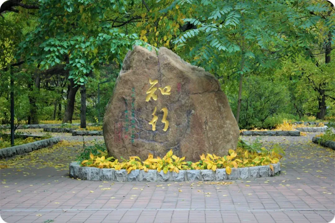 如何利用心理学技巧提高篮球比赛中的专注度_1